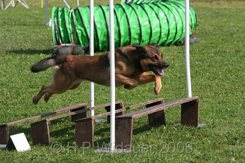 jubil.lusten. 083.jpg